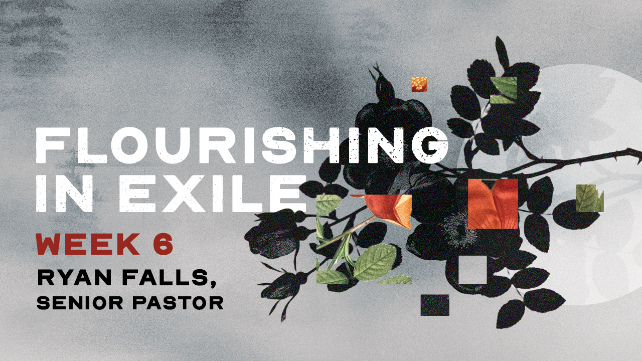 Flourishing In Exile, Week 6