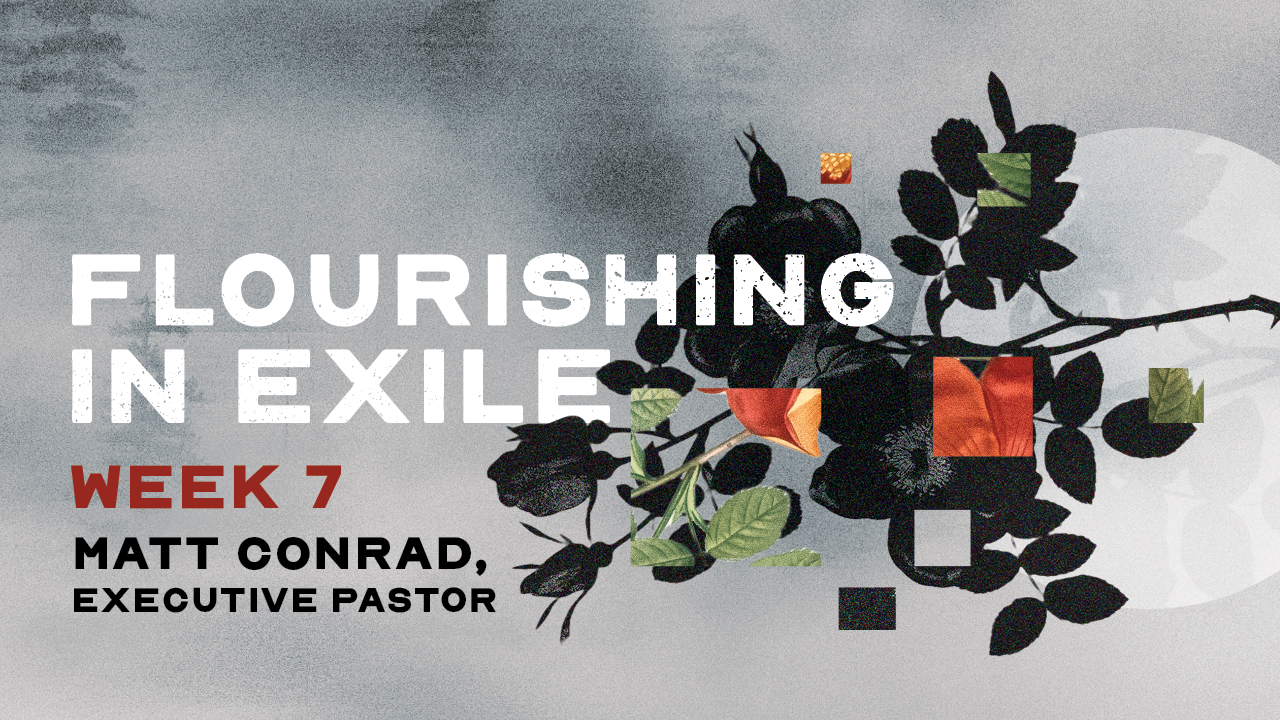 Flourishing In Exile, Week 7
