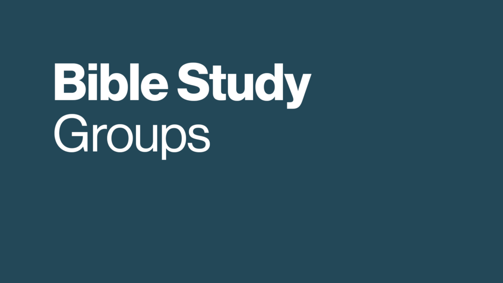 Bible Study Groups